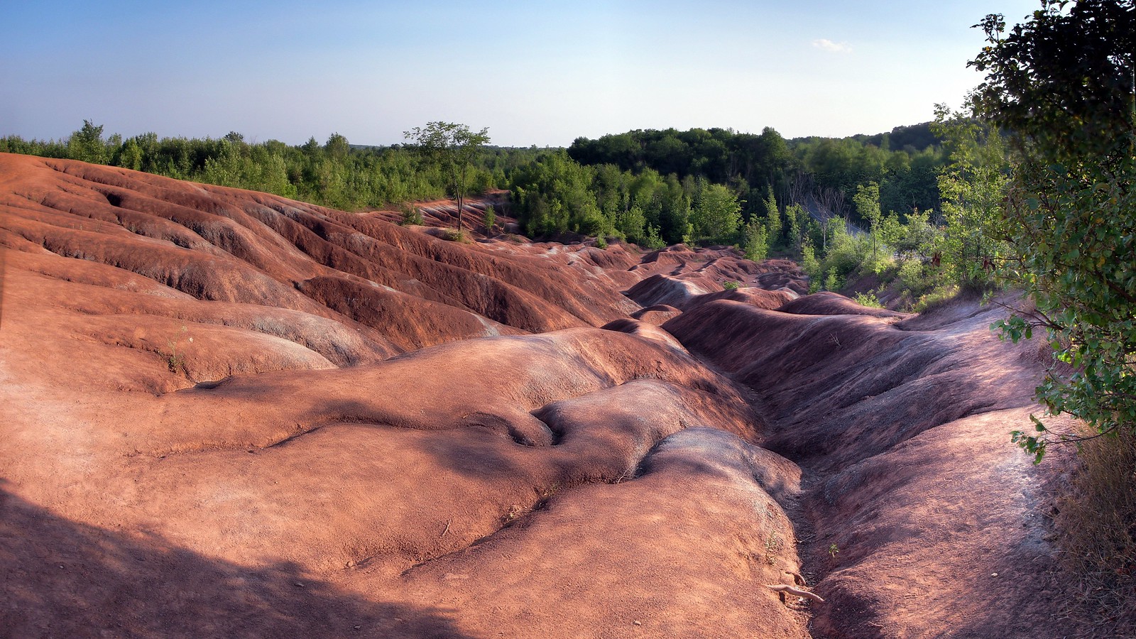 The Cheltenham Badlands – Public History in Practice
